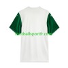 Tenue Palmeiras Exterieur 2025 Maillot de Foot